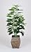 Artificial 4 Ft. Pothos Floor Plant