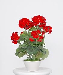 House of Silk Flowers Artificial Red Geranium Arrangement - Set of 2