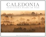 Caledonia : Scotland's heart of pine