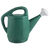 Plastic Watering Can, 2 Gal Green