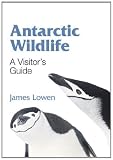 Antarctic Wildlife: A Visitor's Guide
