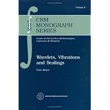Wavelets, Vibrations and Scalings (Crm Monograph Series)