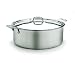 All-Clad Stainless 10-Quart Rondeau with Lid
