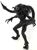 41uScNBApmL. SL160  Alien vs Predator Black PVC Action Figure