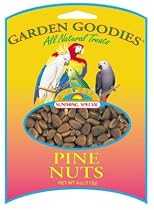 Sun Seed Company Garden Pine Nuts 4 oz