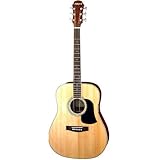 Aria �A���A AW-20N�@�A�R�[�X�e�B�b�N�M�^�[