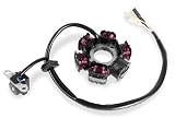 Baja Designs Internal Stators 30-0110