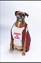 Big Dog Red Neck Pet Costume