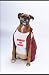 Big Dog Red Neck Pet Costume