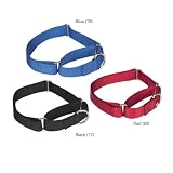 Guardian Gear Black All Nylon Greyhound Martingale Safety Choke Choker Dog Collar 10-16 x 5/8
