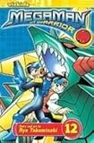 Megaman Nt Warrior 12