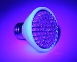 L-60Fuv: 60 UV LED Flood Light