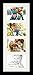 ArtToFrames Collage Photo Frame Single Mat with 4-5x7 Openings and Satin Black Frame.