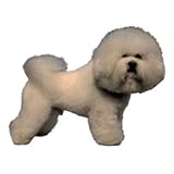 World Stickers Schwandt Heimtierbedarf 12169 Aufkleber 4 St&uuml;ck ca. 80 x 80 mm f&uuml;r Warnschild Bichon Frise