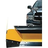 Meyer Snow Plow Wings, Model# 08888