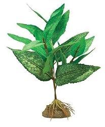 WATER WONDERS 14" SILK TEMPLE PLANT