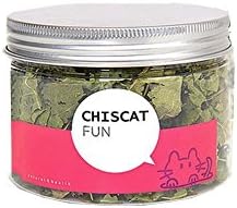 Best Premium Cat Toys Interactive. Cat Dancer-Cat Charmer Wand,Teaser, 100% Organic Catnip Mice Mouse-Cat &amp; Kitten Toy. Unleash Your Cat's Imagination (Extra Catnip)