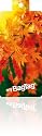 Autumn Leaves Bag Tag x 2