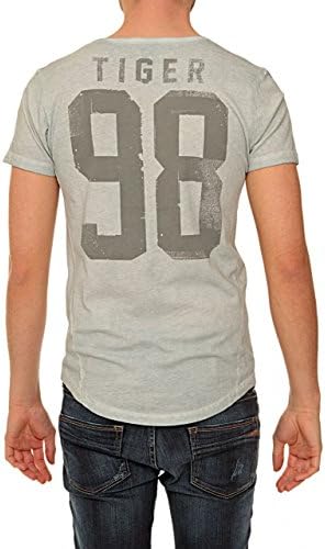 Japan Rags Graphic Tee TSH H TIGO, Color: Grey, Size: XXL