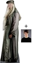 *FAN PACK* - DUMBLEDORE - LIFESIZE CARDBOARD CUTOUT / STANDEE / STANDUP (Height 185cm) - Harry Potter And The Half Blood Prince - Michael Gambon - INCLUDES 8x10" (25x20cm) STAR PHOTO - FAN PACK #19