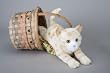 Savory Orange Tiger Cat Plush Toy 14"