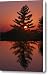 Sunset Silhouettes A Tree Canvas Print / Canvas Art - Artist Richard Nowitz
