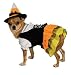 Secret Wishes Candy Corn Witch Pet Costume