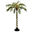 Pre-Lit Bubble Palm Tree - Green (6')