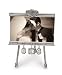 Mud Pie Wedding Eat, Drink and Be Married Wedding Easel Frame