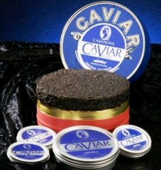 Caviar de Venise White Sturgeon 1oz by Bemka