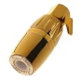 Oxygenics Skincare Elite Series Fixed Showerhead Unit - Gold
