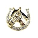 Acosta Brooches - Crystal Horse Head in Shoe Brooch - Gold Coloured Costume Jewellery - Gift Boxed