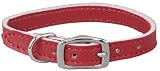 Pocket Pup Collar - 3/8 in. x 9 in. - 11 in. - Red