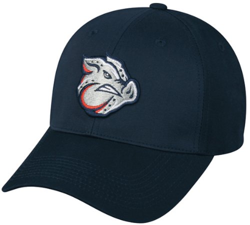 Lehigh Valley IRONPIGS ADULT MiLB Minor League Cap Adjustable Velcro TWILL Hat 