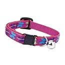 LupinePet 1/2" Wing It 8-12 Cat Collar with Bell