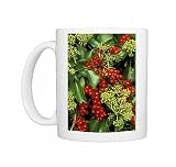 IVY - in flower and black Bryony berries Photo Mugs