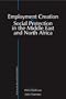 Employment Creation and Social Protection in the Middle East and North Africa: The Third Mediterranean Development Forum