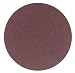 Delta 31-421 12-Inch 50 Grit Sanding Disc (2-Pack)