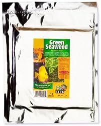 GREEN SEAWEED