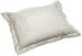 Raymond Waites Versailles 12-by-16-inch Cotton Decorative Pillow, Blue Pearl
