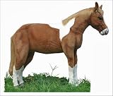 Hansa 3772 Ride-On Painted Pony Stuffed Animal