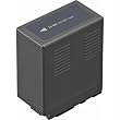 Panasonic VW-VBG6 Lithium Ion Battery