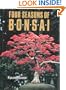 Four Seasons of Bonsai