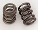 Competition Cams 98116 Valve Springs - Set of 16