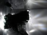 LED Cool White Christmas Lights, 50 Bulbs