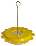 Beautiful Bright Yellow Butterfly Feeder - for nectar and fruit