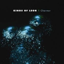 Kings Of Leon Photo 4