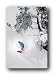 Course Air
(24x36) Snowboarder Under Tree Sports Poster Print