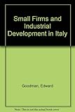 Small firms and industrial districts in Italy