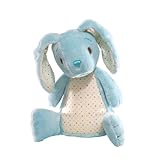 Gund My First Bunny Blue 8.5 Knowing God: Walking through the Book of Books